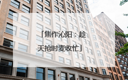焦作沁阳：趁天抢时麦收忙