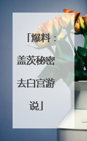 爆料：盖茨秘密去白宫游说