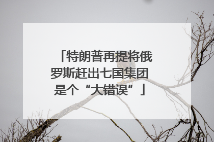 特朗普再提将俄罗斯赶出七国集团是个“大错误”