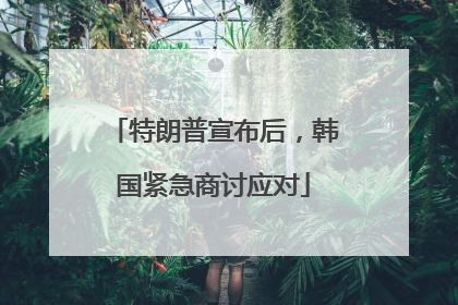 特朗普宣布后，韩国紧急商讨应对