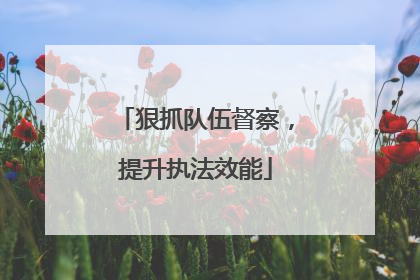狠抓队伍督察，提升执法效能