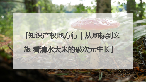 知识产权地方行｜从地标到文旅 看清水大米的破次元生长