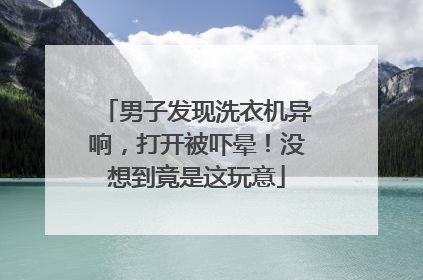 男子发现洗衣机异响，打开被吓晕！没想到竟是这玩意
