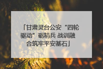 甘肃灵台公安“四轮驱动”砺精兵 战训融合筑牢平安基石