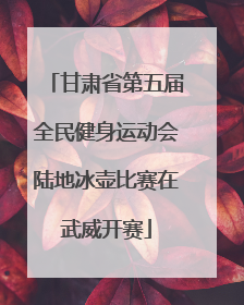 甘肃省第五届全民健身运动会陆地冰壶比赛在武威开赛