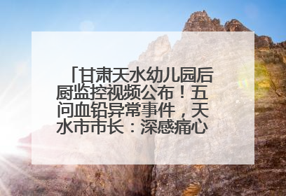 甘肃天水幼儿园后厨监控视频公布！五问血铅异常事件，天水市市长：深感痛心、十分自责