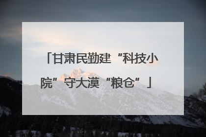 甘肃民勤建“科技小院”守大漠“粮仓”