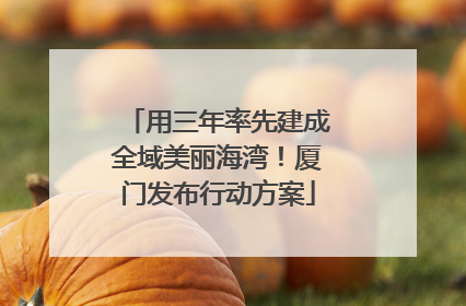 用三年率先建成全域美丽海湾！厦门发布行动方案