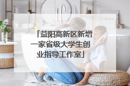 益阳高新区新增一家省级大学生创业指导工作室