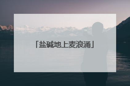 盐碱地上麦浪涌