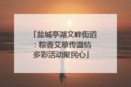 盐城亭湖文峰街道：粽香艾草传温情 多彩活动聚民心