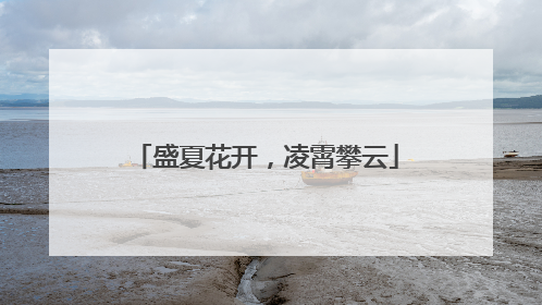 盛夏花开，凌霄攀云