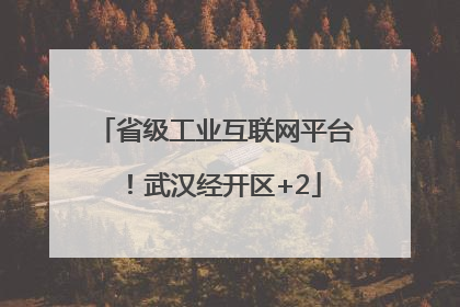 省级工业互联网平台！武汉经开区+2