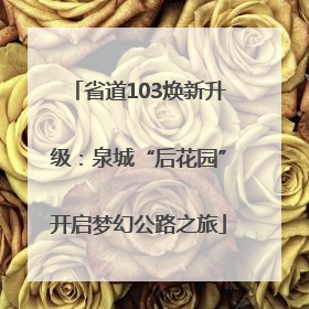 省道103焕新升级：泉城“后花园”开启梦幻公路之旅