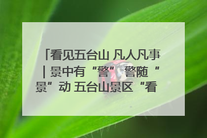 看见五台山 凡人凡事｜景中有“警” 警随“景”动 五台山景区“看得见”的平安守护
