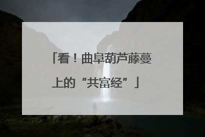 看！曲阜葫芦藤蔓上的“共富经”