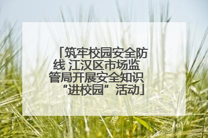 筑牢校园安全防线 江汉区市场监管局开展安全知识“进校园”活动