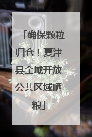 确保颗粒归仓！夏津县全域开放公共区域晒粮