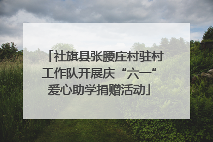 社旗县张腰庄村驻村工作队开展庆“六一”爱心助学捐赠活动