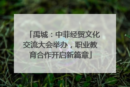 禹城：中菲经贸文化交流大会举办，职业教育合作开启新篇章