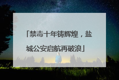 禁毒十年铸辉煌，盐城公安启航再破浪