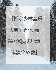 禅宗少林音乐大典：香包 福粽+沉浸式互动巡演全免费