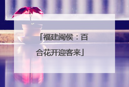 福建闽侯：百合花开迎客来