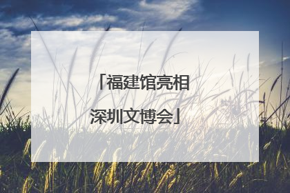福建馆亮相深圳文博会