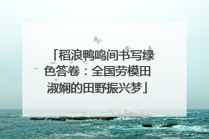 稻浪鸭鸣间书写绿色答卷：全国劳模田淑娴的田野振兴梦