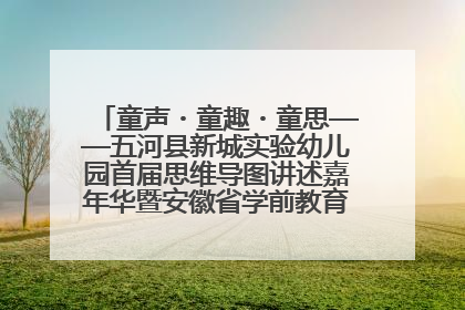童声・童趣・童思——五河县新城实验幼儿园首届思维导图讲述嘉年华暨安徽省学前教育教研基地园项目阶段性成果展示活动