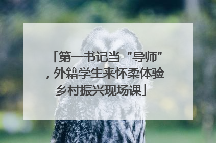 第一书记当“导师”，外籍学生来怀柔体验乡村振兴现场课