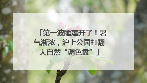 第一波睡莲开了！暑气渐浓，沪上公园打翻大自然“调色盘”