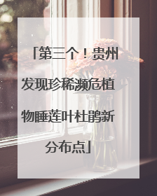 第三个！贵州发现珍稀濒危植物睡莲叶杜鹃新分布点