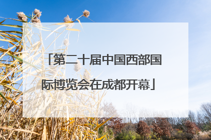 第二十届中国西部国际博览会在成都开幕