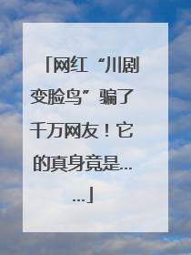 网红“川剧变脸鸟”骗了千万网友！它的真身竟是……