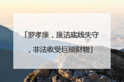罗孝廉，廉洁底线失守，非法收受巨额财物