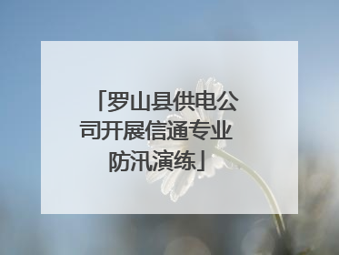 罗山县供电公司开展信通专业防汛演练