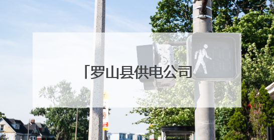 罗山县供电公司：内外兼顾 提升防汛保电能力