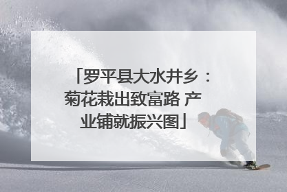 罗平县大水井乡：菊花栽出致富路 产业铺就振兴图