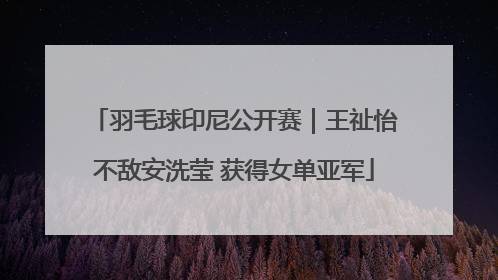 羽毛球印尼公开赛｜王祉怡不敌安洗莹 获得女单亚军