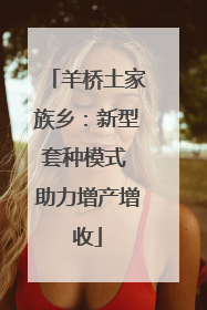羊桥土家族乡：新型套种模式 助力增产增收