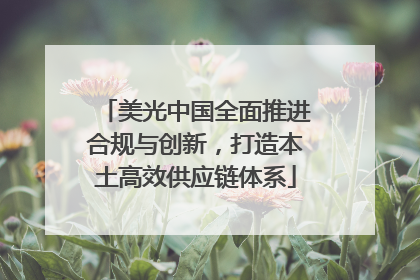 美光中国全面推进合规与创新，打造本土高效供应链体系