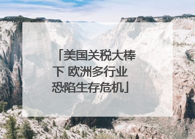 美国关税大棒下 欧洲多行业恐陷生存危机