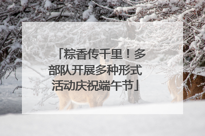 粽香传千里！多部队开展多种形式活动庆祝端午节