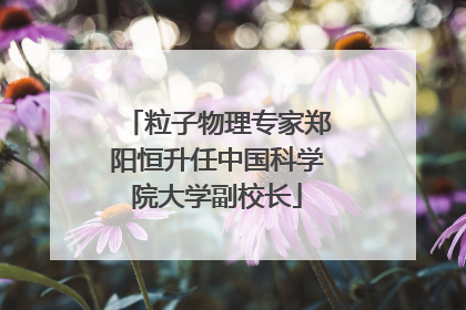 粒子物理专家郑阳恒升任中国科学院大学副校长