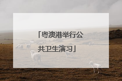粤澳港举行公共卫生演习