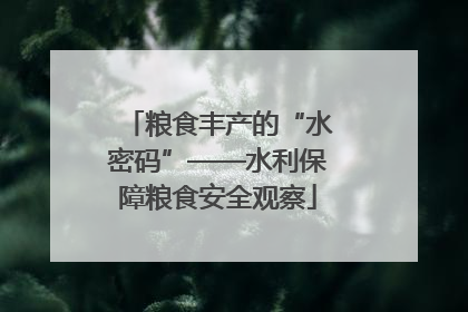 粮食丰产的“水密码”——水利保障粮食安全观察