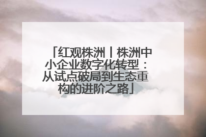 红观株洲丨株洲中小企业数字化转型：从试点破局到生态重构的进阶之路
