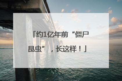 约1亿年前“僵尸昆虫”，长这样！