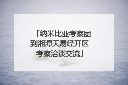 纳米比亚考察团到湘潭天易经开区考察洽谈交流